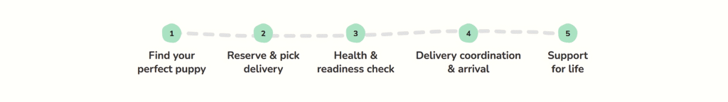 Capture9_imgupscaler.ai_Upscaler_4K